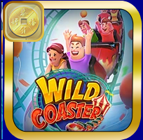 WILD COASTER