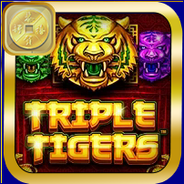 TRIPLE TIGERS