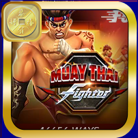 MUAY THAI FIGHTER